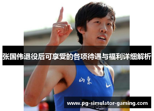 张国伟退役后可享受的各项待遇与福利详细解析