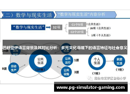 巴舒亚伊语言背景及其对比分析：多元文化语境下的语言特征与社会意义