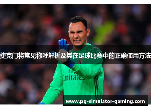 捷克门将常见称呼解析及其在足球比赛中的正确使用方法 捷克门将常见称呼解析及其在足球比赛中的正确使用方法