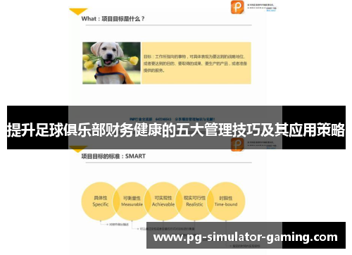 提升足球俱乐部财务健康的五大管理技巧及其应用策略
