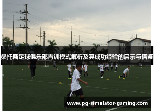 桑托斯足球俱乐部青训模式解析及其成功经验的启示与借鉴