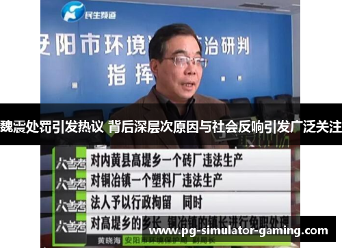 魏震处罚引发热议 背后深层次原因与社会反响引发广泛关注
