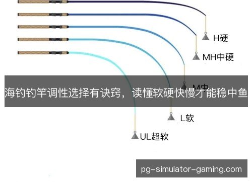 海钓钓竿调性选择有诀窍,读懂软硬快慢才能稳中鱼 海钓钓竿调性选择有诀窍,读懂软硬快慢才能稳中鱼