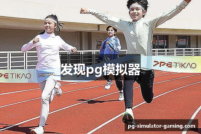 发现pg模拟器
